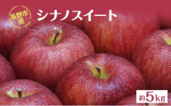長野市産「シナノスイート」約5kg (11～16玉）