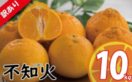 【2026年3月中旬頃から順次発送】 訳あり みかん 不知火 しらぬい 約10kg | デコポン でこぽん と同品種 みかん ミカン 蜜柑 愛媛みかん 愛媛ミカン 果物 くだもの フルーツ 家庭用 国産 産地直送 お取り寄せ 愛媛県産 2026年3月中旬頃より発送予定 愛媛県 松山市