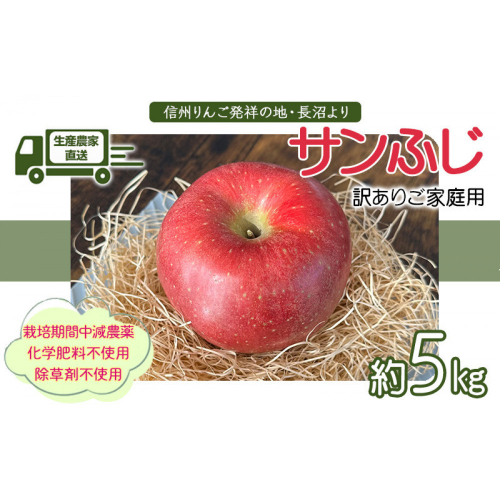 生産農家直送 人にやさしい 長沼りんご・サンふじ5kg（ご家庭用） 2576906 - 長野県長野市