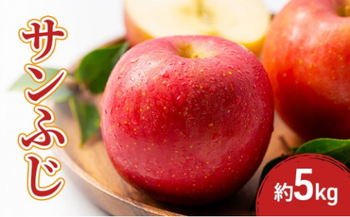 2026年産先行予約サンふじ 5kg 果物 フルーツ りんご 長野県 2576914 - 長野県長野市