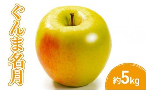 2026年産先行予約ぐんま名月5kg 果物 フルーツ りんご 長野県 2576915 - 長野県長野市