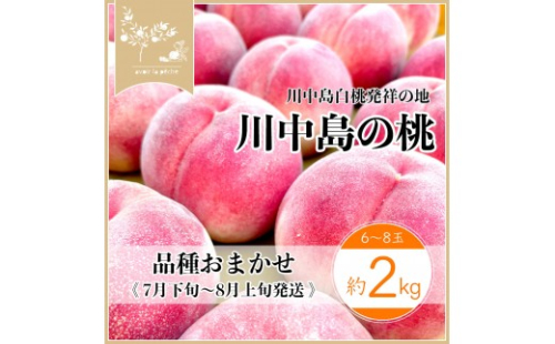 【先行予約】川中島の桃 約2kg 品種おまかせ  7月下旬～8月上旬発送予定 2576917 - 長野県長野市