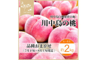 【先行予約】川中島の桃 約2kg 品種おまかせ  7月下旬～8月上旬発送予定