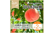 【先行予約】川中島の桃 約2kg 品種おまかせ  8月中旬～8月下旬発送予定