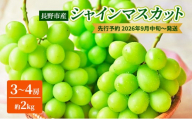 長野市産シャインマスカット3～4房（約2kg）【2026年9月中旬以降の出荷分】（本気農場いけだ）