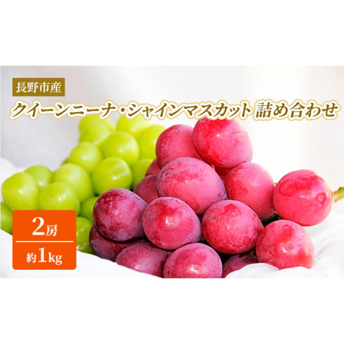 シャインマスカット・クイーンニーナ詰合せ1kg【2026年9月下旬以降の出荷分】（本気農場いけだ） 2576924 - 長野県長野市