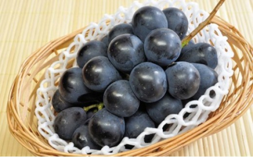 長野市産 ナガノパープル1kg【2026年9月以降出荷分】果物 くだもの フルーツ デザート 種無し 大粒 旬 長野市 2576927 - 長野県長野市