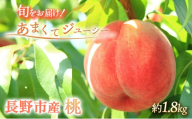 長野県 長野市産 桃1.8kg(6～11個)【2026年7月下旬頃～発送予定】（矢島農園）