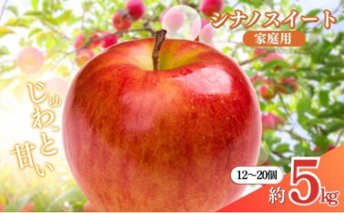 長野県 長野市産 シナノスイート 家庭用 5kg(12～20玉)【2026年10月下旬頃発送予定】（矢島農園） 2576937 - 長野県長野市
