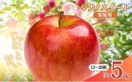 長野県 長野市産 シナノスイート 家庭用 5kg(12～20玉)【2026年10月下旬頃発送予定】（矢島農園）