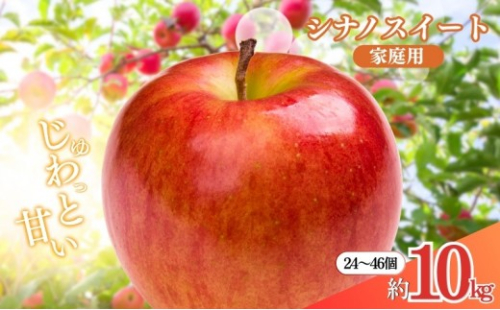 長野県 長野市産 シナノスイート 家庭用 10kg(24～46玉)サイズふぞろい【2026年10月下旬頃発送予定】(矢島農園) 2576938 - 長野県長野市