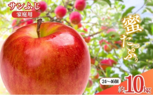 長野県 長野市産 サンふじ 家庭用 10kg(24～46玉)サイズふぞろい【2026年12月中旬頃～発送予定】(矢島農園) 2576940 - 長野県長野市