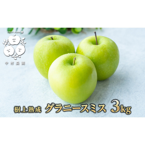 フルーツファーム中村農園　【10月下旬発送 先行予約】樹上熟成　グラニースミス 3kg |  りんご グラニースミス グリーンアップル 林檎 アップルパイ ジャム 加工用 生食用 果物 フルーツ 青りんご 料理用 製菓用 送料無料 長野県 長野市 信州 信濃 ふるさと納税 2576947 - 長野県長野市