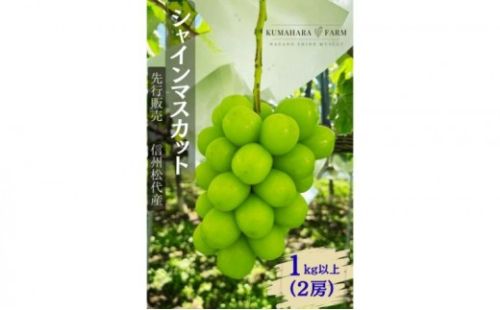 長野市シャインマスカット　1kg以上 2576957 - 長野県長野市