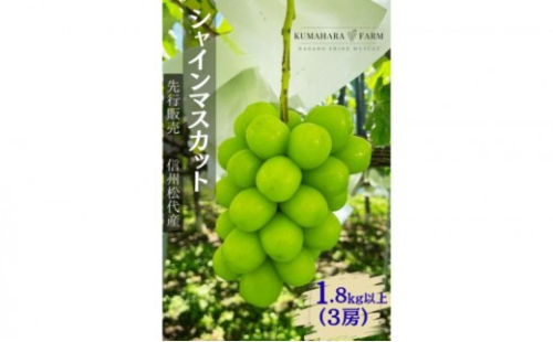 長野市シャインマスカット　1.8kg以上 2576958 - 長野県長野市