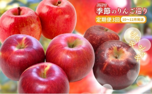 長野県 長野市産 ◎りんごの定期便◎ 10月～12月 3ヵ月連続5kg(12～20玉)ずつお届け　あきばえ・シナノスイート・サンふじ（矢島農園） 2576966 - 長野県長野市