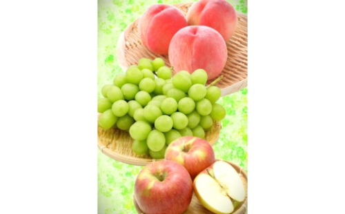 長野県 長野市産 〇季節のフルーツ〇8月～10月定期便　桃・シャインマスカット・シナノスイート ※オンライン限定　(矢島農園) 2576967 - 長野県長野市