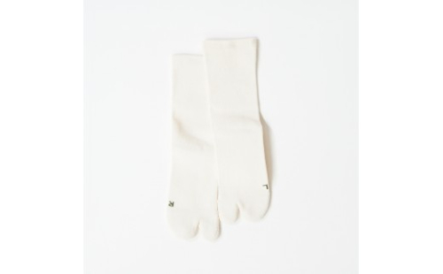 アミタビ ベーシック アイボリー 2Pセット(タイコー) 2576975 - 長野県長野市