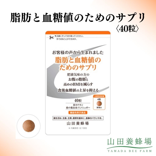 脂肪と血糖値のためのサプリ〈40粒〉（28235）【006-a147】｜機能性表示食品 サプリ サプリメント 血糖値 脂肪 糖 ケア サポート 岡山県 鏡野町 2577013 - 岡山県鏡野町