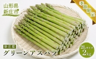 【季節限定】新庄産 グリーンアスパラガス 2L 2kg 野菜 アスパラ F3S-1028
