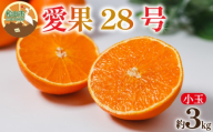 【小玉】 愛果28号 (紅まどんな と同品種) 約3kg 【2026年12月中旬頃から順次発送】 | あいか 愛果28号 紅まどんな と同品種 みかん 柑橘 アイカ 先行予約 ミカン かんきつ 果物 フルーツ おすすめ 蜜柑 送料無料 愛媛県 松山市 こうの農園