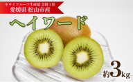 キウイフルーツ ヘイワード 約3kg 【2026年11月上旬頃から順次発送】 |  キウイ グリーンキウイ ヘイワード キウイフルーツ フルーツ 果物 きうい くだもの デザート 産地直送 数量限定 国産 送料無料 愛媛県 松山市