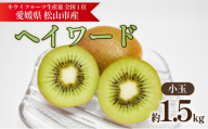キウイフルーツ ヘイワード [小玉] 約1.5kg [2026年11月上旬頃から順次発送] | キウイ グリーンキウイ ヘイワード キウイフルーツ フルーツ 果物 きうい くだもの デザート 産地直送 数量限定 国産 送料無料 愛媛県 松山市
