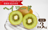 キウイフルーツ ヘイワード 【小玉】 約3kg 【2026年11月上旬頃から順次発送】 |  キウイ グリーンキウイ ヘイワード キウイフルーツ フルーツ 果物 きうい くだもの デザート 産地直送 数量限定 国産 送料無料 愛媛県 松山市