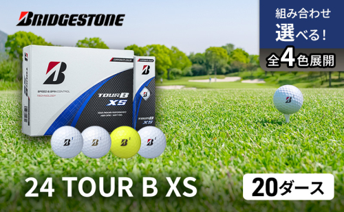ゴルフ 24 TOUR BXS 20ダース ゴルフボール ボール ブリヂストン ダース セット 【ホワイト(WH）コーポレート（CO）各10ダース】 2577288 - 千葉県市原市