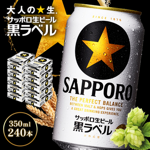サッポロ黒ラベル350ml×240本（10箱）【930040120】 2577318 - 北海道恵庭市
