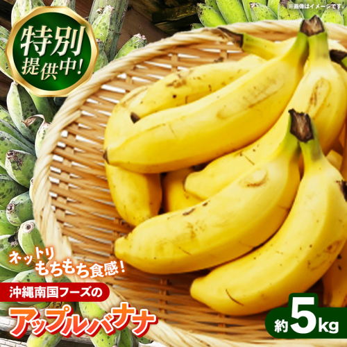 【特別提供中】 国産 希少種！南国フーズのアップルバナナ 約5kg - バナナ ばなな 小ぶり 沖縄県 産地直送 果物 フルーツ 南国 朝食 おすすめ 沖縄県 八重瀬町【価格改定】 2577326 - 沖縄県八重瀬町