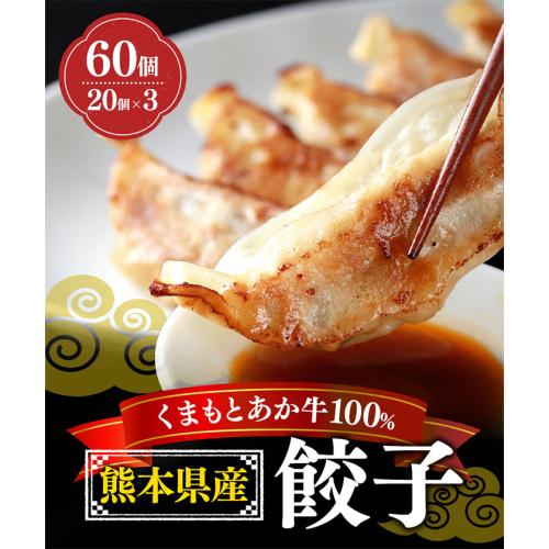 熊本県産 GI認証取得 くまもとあか牛 100% 餃子 60個 20個入り × 3 くまふる《45日以内に出荷予定(土日祝除く)》熊本県 長洲町 肉 牛肉 あか牛 赤牛 餃子 熊本県産 国産 2579029 - 熊本県長洲町