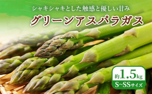 2026年春発送！ふらの グリーンアスパラ 約1.5kg [ 数量限定 先着順 アスパラ アスパラガス 野菜 新鮮 直送 北海道 富良野 ] 2579036 - 北海道富良野市