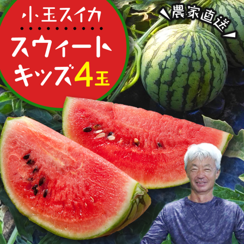 小玉 スイカ スウィートキッズ 4玉 2026年 先行予約 小玉スイカ すいか 西瓜 こだますいか フルーツ 果物 くだもの 農家直送 旬 甘い ギフト 人気 産直 [CQ008sa] 2579070 - 茨城県桜川市