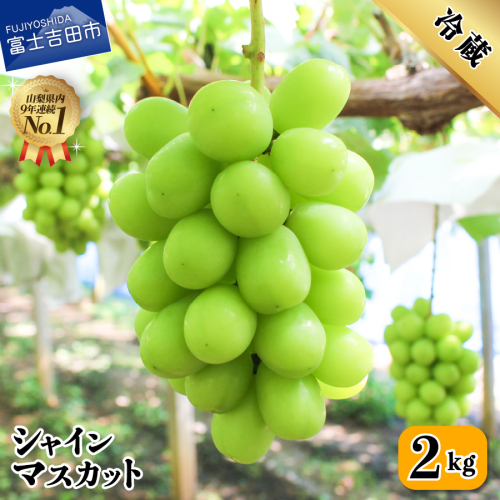 2026年発送【フルーツ王国】 山梨県産 シャインマスカット 約2.0kg(3～4房) 2579155 - 山梨県富士吉田市