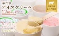 北海道産 南幌町 手作りアイスクリーム 120ml×12個セット (おまかせ詰め合わせ) NP1-023