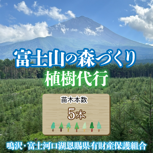 富士山の森づくり植樹代行(5本) FFA001-b 2579160 - 山梨県富士河口湖町