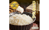 ひとめぼれ 定期便12回/5kg×2袋 令和8年産 新米 先行予約 宮城県産 米 精米 白米