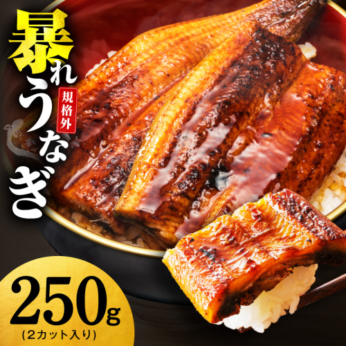 【規格外】うなぎ 暴れ盛り 250g（2カット）【お試し 鰻 かば焼き 簡単調理 訳あり サイズ不揃い 人気 惣菜 うな重 うな丼 ひつまぶし】 G3973 2579390 - 大阪府泉佐野市