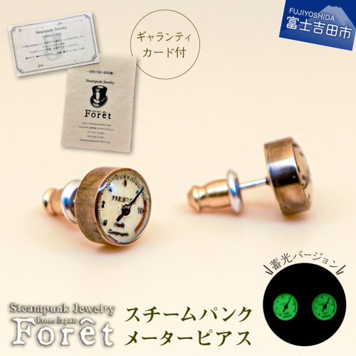 Steampunk スチームパンク メーターピアス 2579391 - 山梨県富士吉田市
