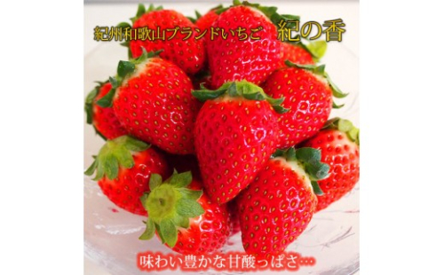 紀州和歌山ブランドいちご「紀の香」約250g×4P ［UT143］ 2579448 - 和歌山県上富田町