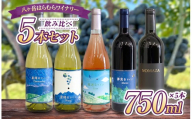 八ヶ岳はらむらワイナリー 飲み比べ 5本セット | 750ml × 5本 酒 ワイン 赤 白 ロゼ アルコール 国産 パーティー 飲み比べ ギフト 肉料理 魚料理 信州 八ヶ岳 長野県 諏訪郡 原村