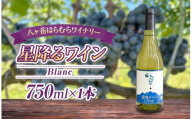 八ヶ岳はらむらワイナリー 星降るワイン Blanc 箱入り 1本 | 酒 ワイン 白 国産 シャルドネ ソーヴィニヨンブラン 辛口 フレッシュ 爽やか フルーティー ハーブ香 軽やか 食中酒 魚料理 ギフト 信州 八ヶ岳 長野県 諏訪郡 原村