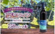 八ヶ岳はらむらワイナリー 夢見るワイン Merlot 箱入り 1本 | 酒 ワイン 赤 赤ワイン アルコール メルロー ミディアムボディ ギフト 化粧箱 信州 八ヶ岳 長野県 諏訪郡 原村