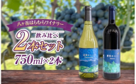 八ヶ岳はらむらワイナリー 飲み比べ 2本セット | 酒 ワイン 赤 白 赤ワイン 白ワイン アルコール メルロー ミディアムボディ シャルドネ 飲み比べ ギフト 化粧箱 セット 信州 八ヶ岳 長野県 諏訪郡 原村