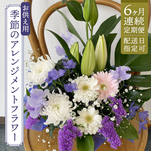 【配送日指定可】【 定期便 /6ヶ月連続】季節の お供え用 アレンジメントフラワー 仏花 お盆 お供え お悔やみ 仏事 法事 命日 お盆 秋彼岸 春彼岸 正月 生花 [CY011sa]	
 2579704 - 茨城県桜川市