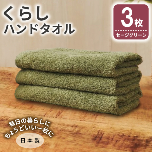くらしハンドタオル 3枚 セージグリーン【泉州タオル たおる 国産 吸水 普段使い シンプル 日用品 家族 ファミリー】 005A798 2579716 - 大阪府泉佐野市