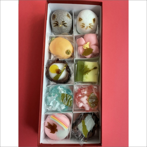 猫 NEKO-NO-EN(ねこのえん),季節の上生菓子10ヶ入セット　お菓子 おかし 猫好き ねこ プレゼント お返し ギフト 贈り物 友人 誕生日 手土産 スイーツ ふるさと 納税 猫 ふるさと 納税 生菓子 和菓子 京菓子 猫の日 送料無料 2579904 - 京都府京丹後市