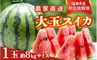 【先行予約】農家直送 砂丘地ハウス栽培 福井県産大玉スイカ 8kgサイズ 1玉【2026年6月中旬以降順次発送予定】 [B-21801]