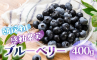 【数量限定】贈答用 生ブルーベリー 400g（6～8月お届け）